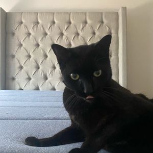 Meet your Posher, Christine